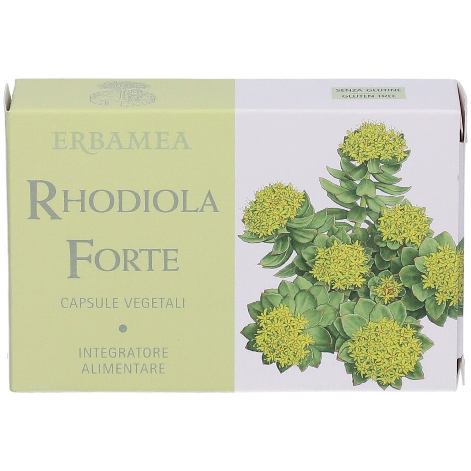 Rhodiola Forte 24 Capsule