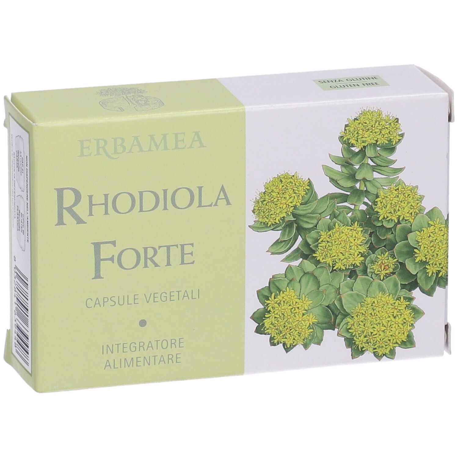 Rhodiola Forte 24 Capsule