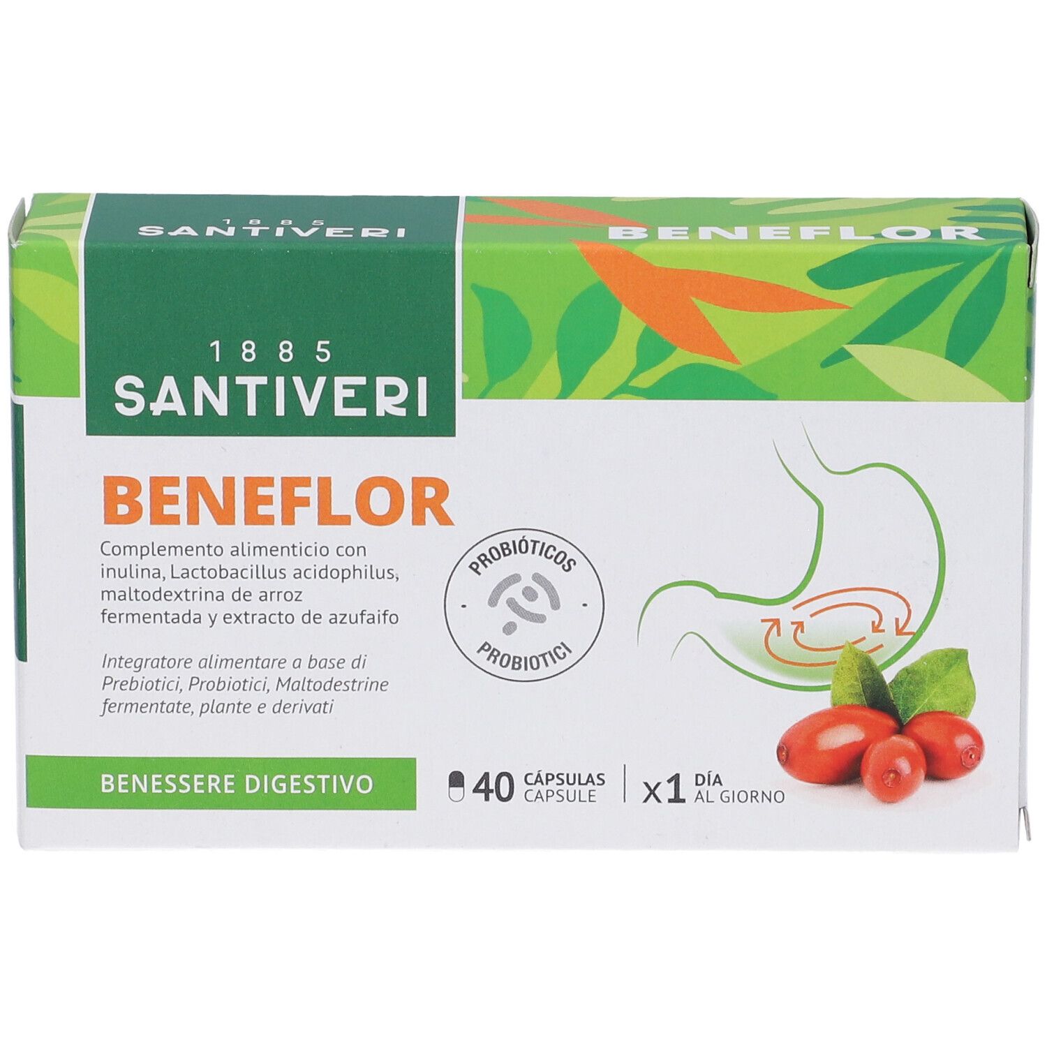 Beneflor 40 Capsule