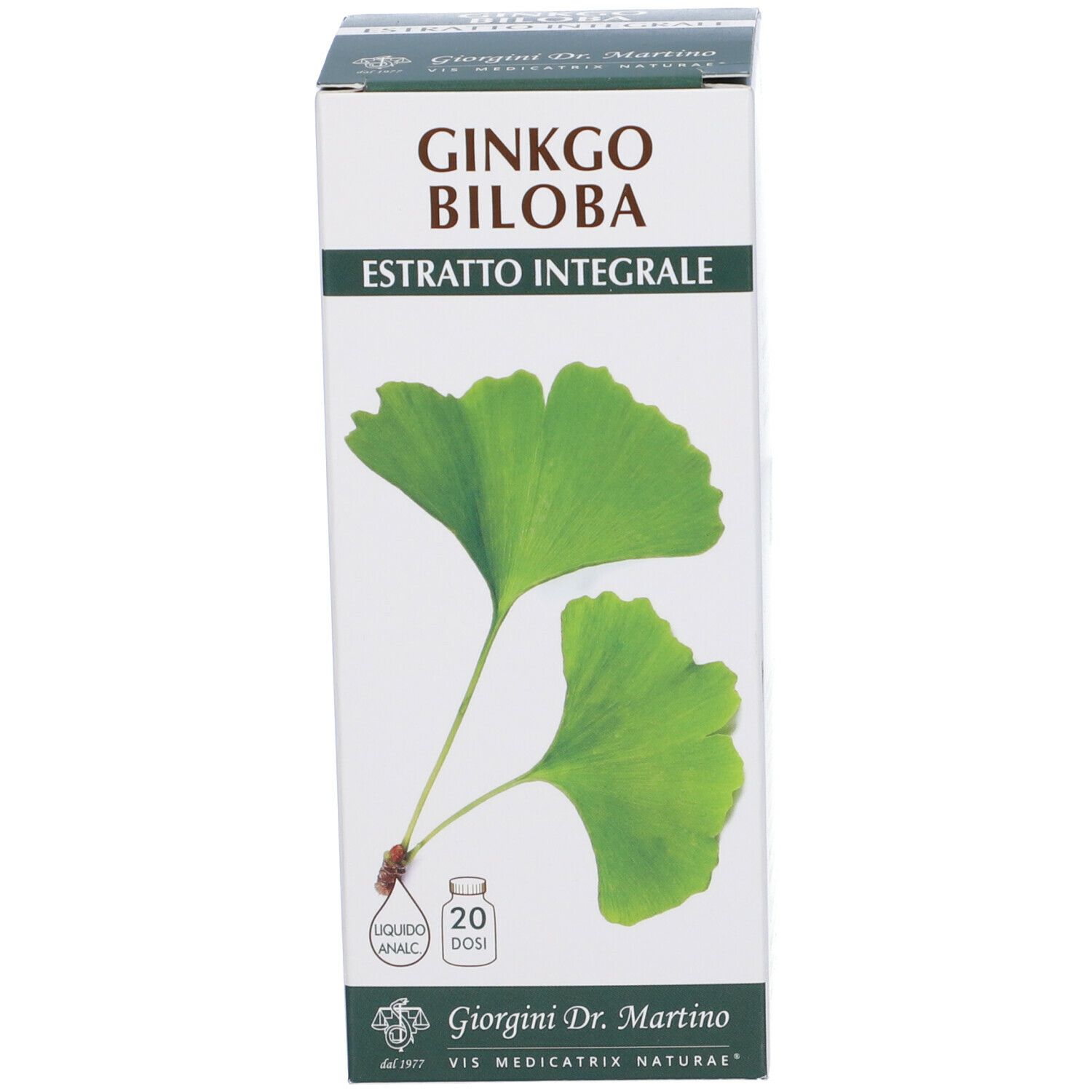 Ginkgo Biloba Estratto Integrale 200 Ml