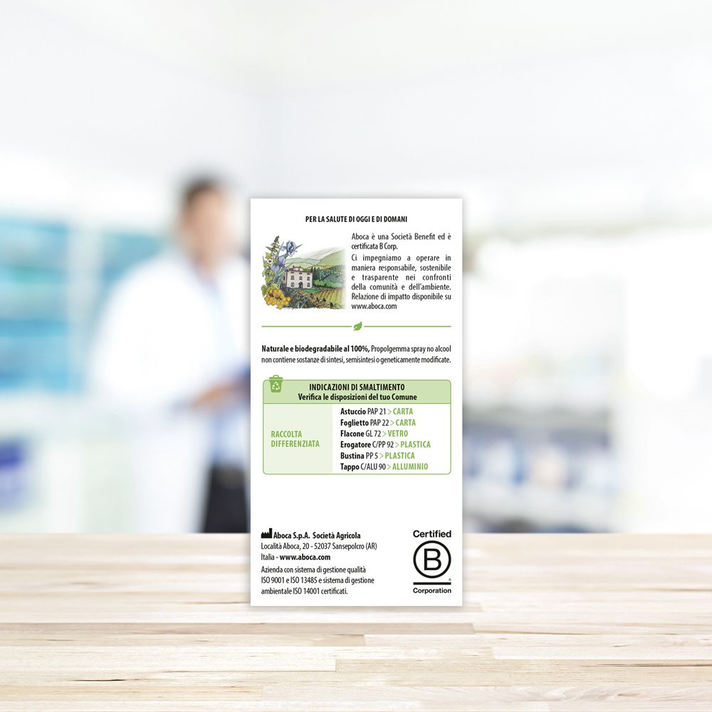 Retro della confezione del prodotto. Contiene testo, informazioni e una certificazione B Corp.