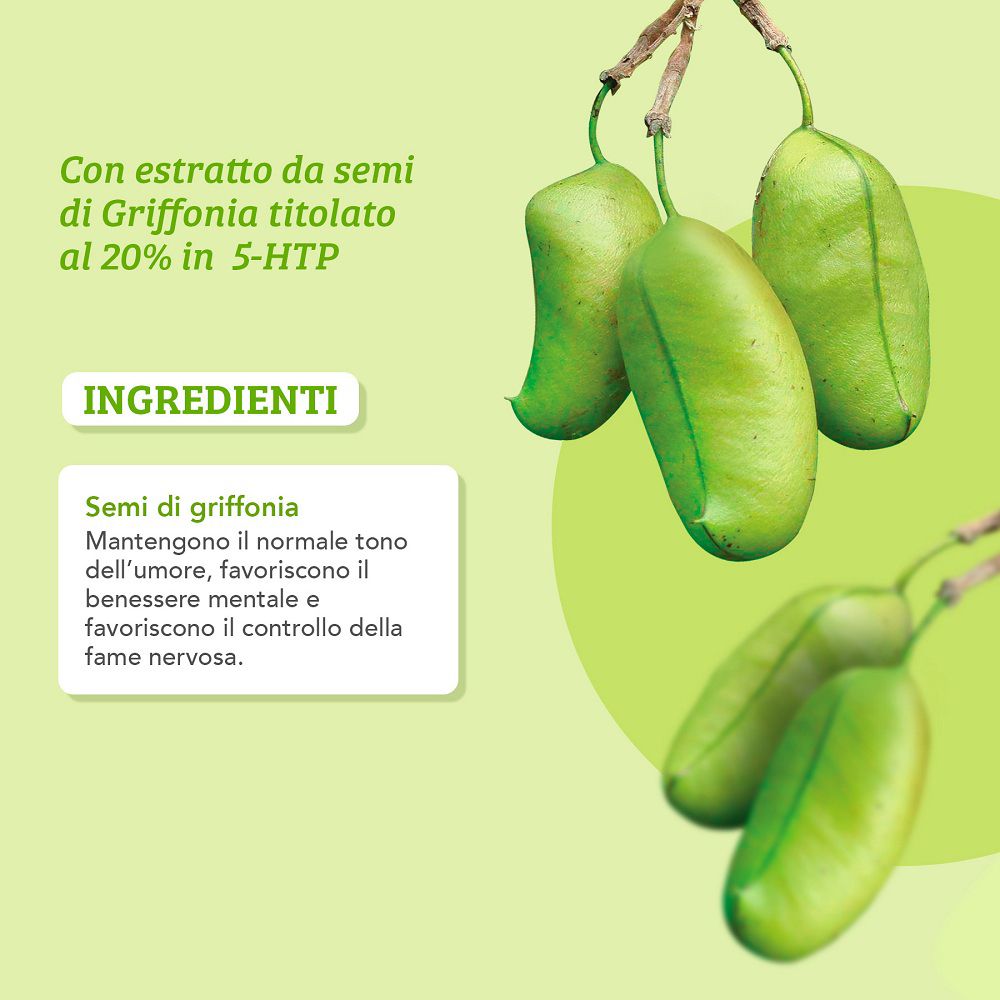 Primo piano di semi di Griffonia verdi e testo sugli ingredienti e i loro benefici per l'umore e il benessere mentale.