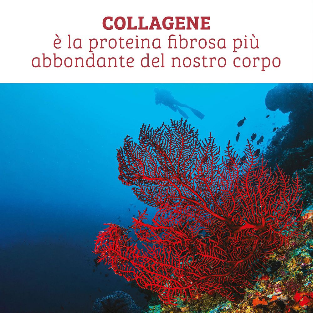 Immagine subacquea con corallo e sub, testo "Il collagene è la proteina più abbondante del nostro corpo".