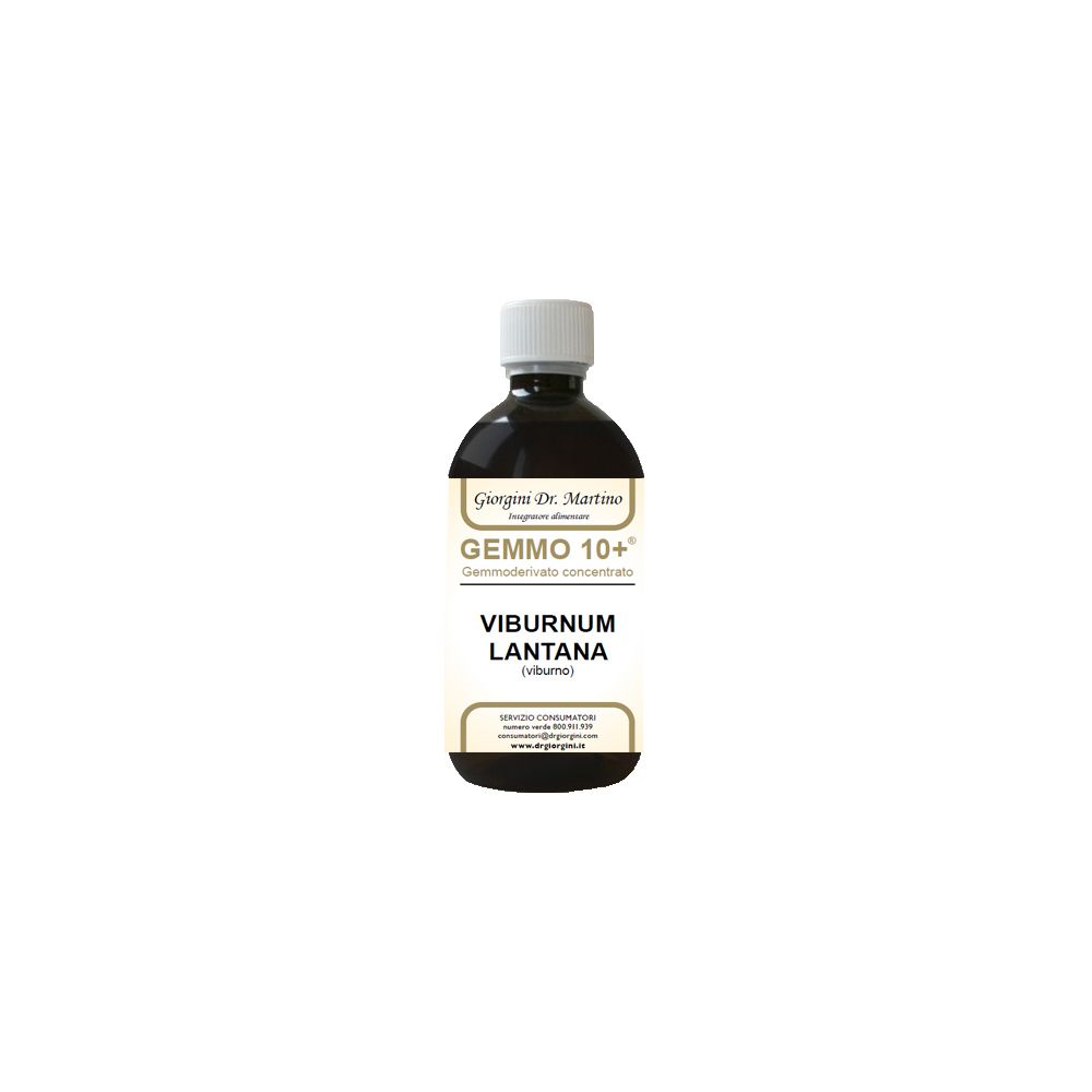 Viburno Liquido Analcolico Gemmo 10+ 500 Ml