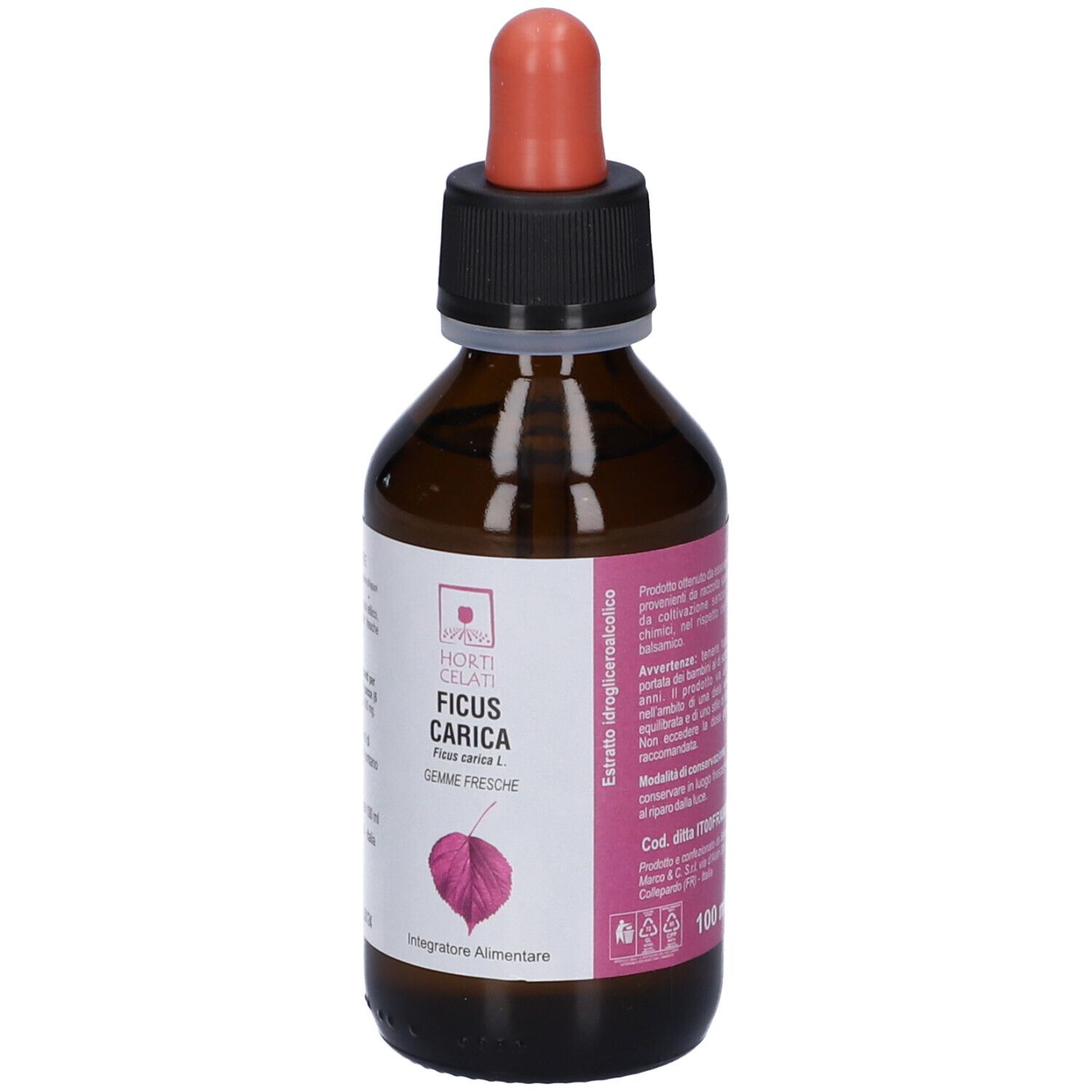 Horti Celati Ficus Carica 100 Ml