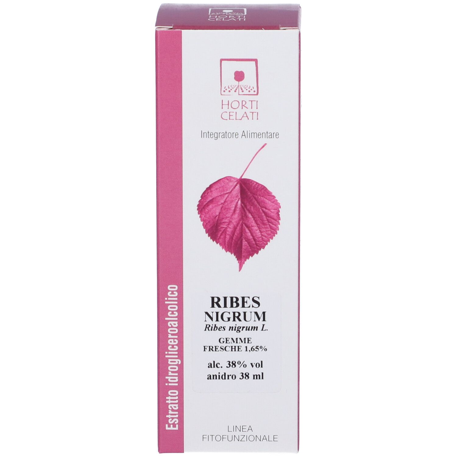 Horti Celati Ribes Nigrum