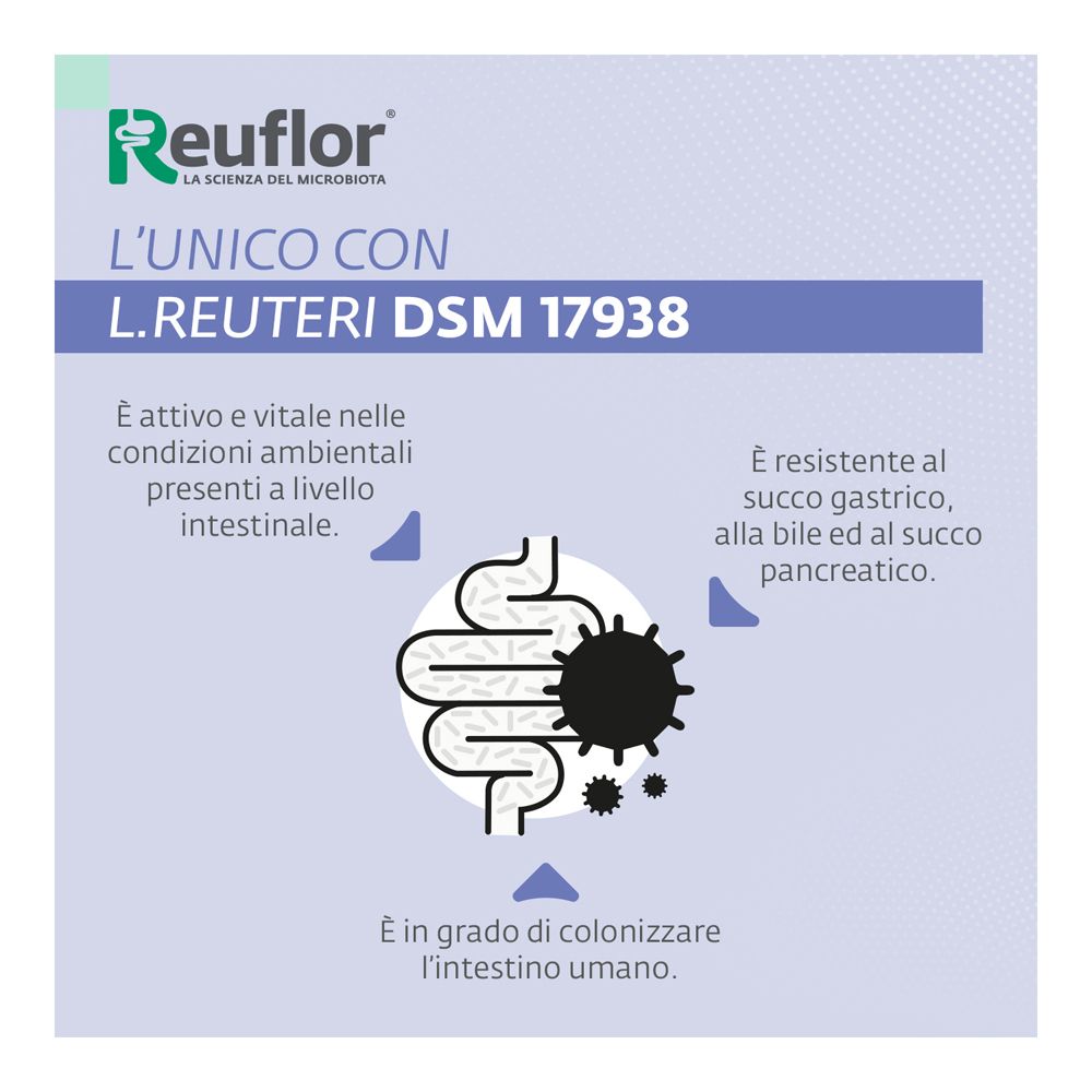 Reuflor D3 800 con L. reuteri DSM 17938, attivo nell'intestino.