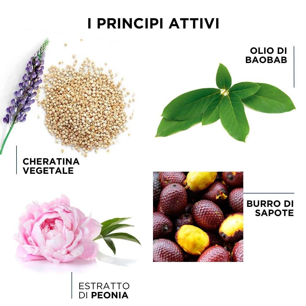 Illustrazione degli ingredienti: Lupino, quinoa, olio di baobab, peonia, burro di sapote.