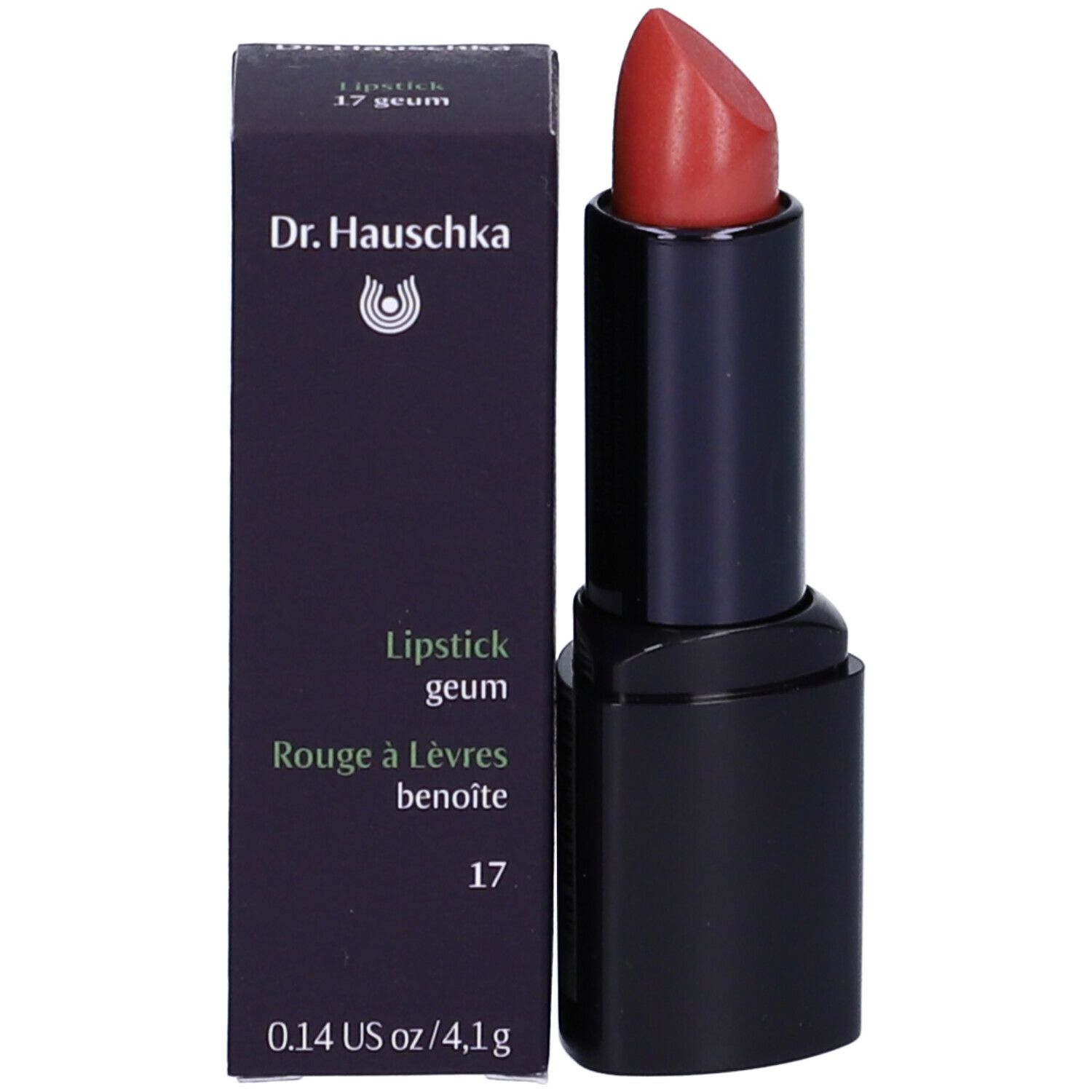 Rossetto e confezione. Rossetto rosso-marrone, astuccio nero. Confezione blu scuro, nome del prodotto e colore.