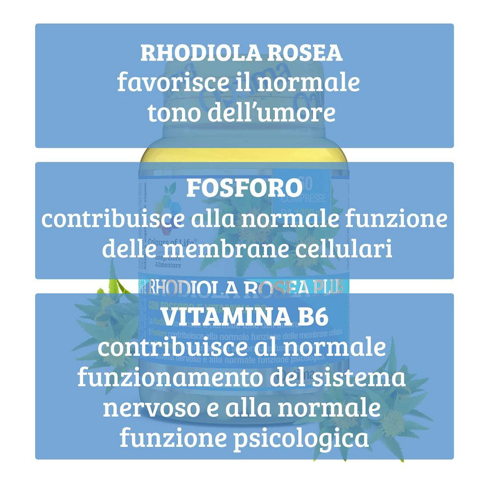 Informazioni su Rhodiola Rosea, Fosforo e Vitamina B6 per umore, membrane cellulari e sistema nervoso.
