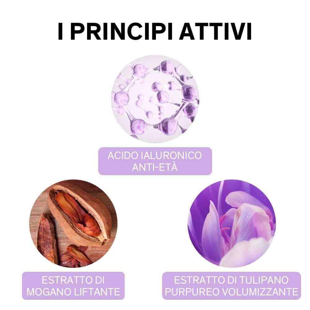 Grafica con ingredienti: Acido ialuronico, estratto di mogano, estratto di tulipano porpora.