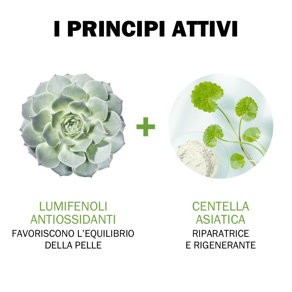 Grafica con ingredienti. Testo: Lumifenoli antiossidanti, Centella asiatica.
