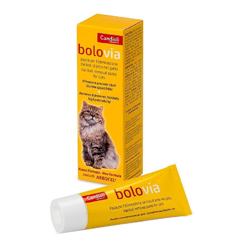 Bolo Via Pasta Gatti Tubo 25 G