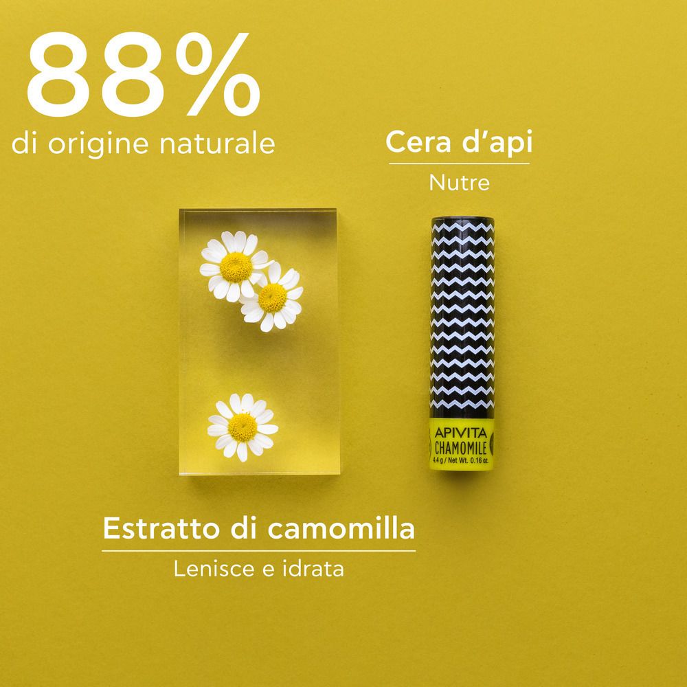 Disposizione del prodotto. Balsamo per labbra, fiori di camomilla in gel, testo: 88% naturale, cera d'api, estratto di camomilla.