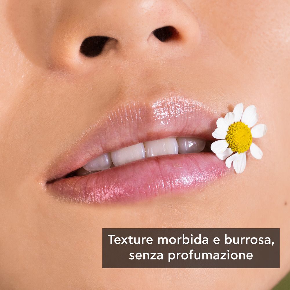 Primo piano delle labbra. Labbra lucide, con fiore di camomilla. Testo: Texture morbida e burrosa, senza profumazione.