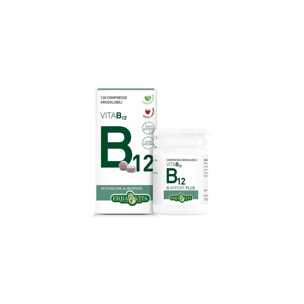 B-Apport Vit B12 120Cpr Orosol