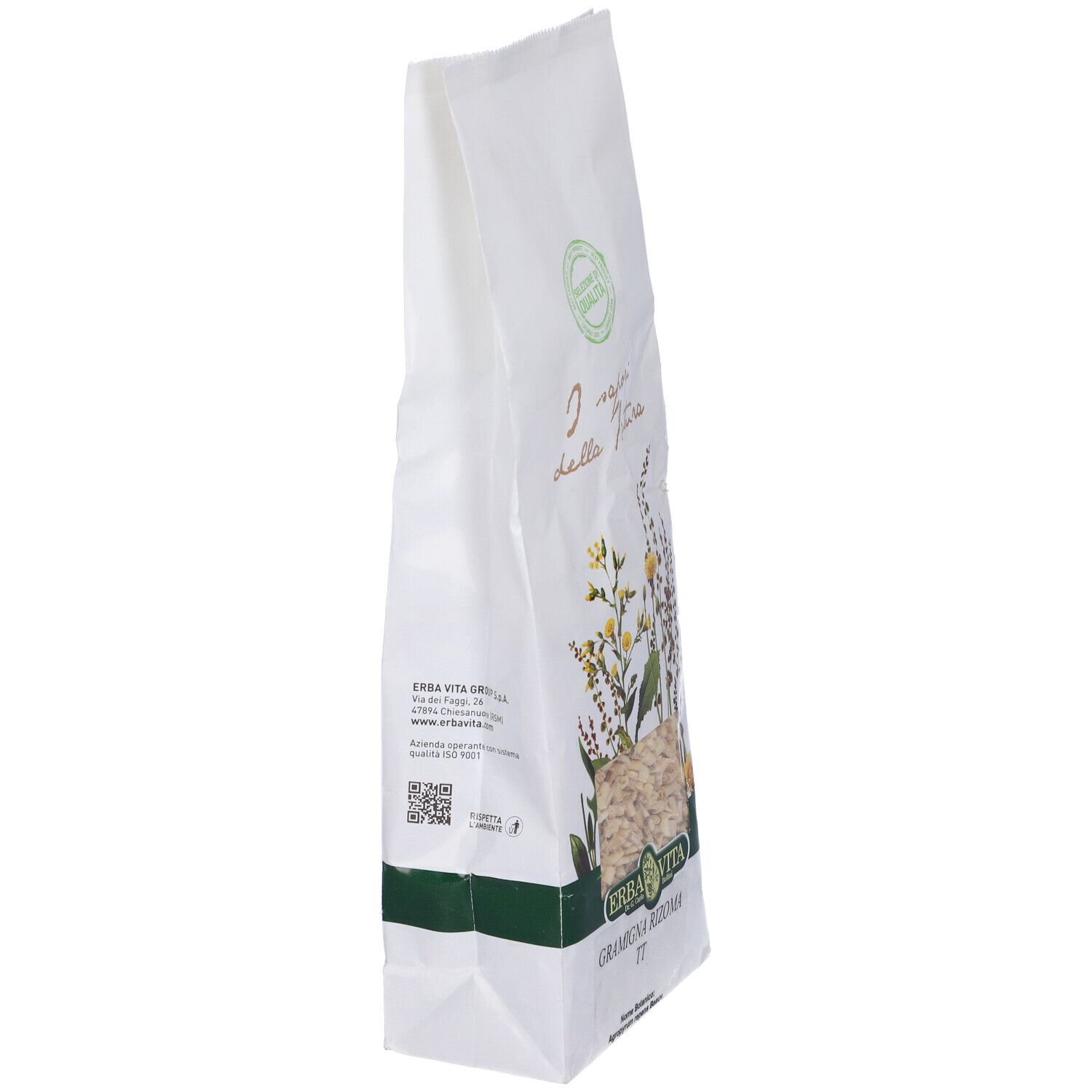 Gramigna Rizoma Tt 100G Ev