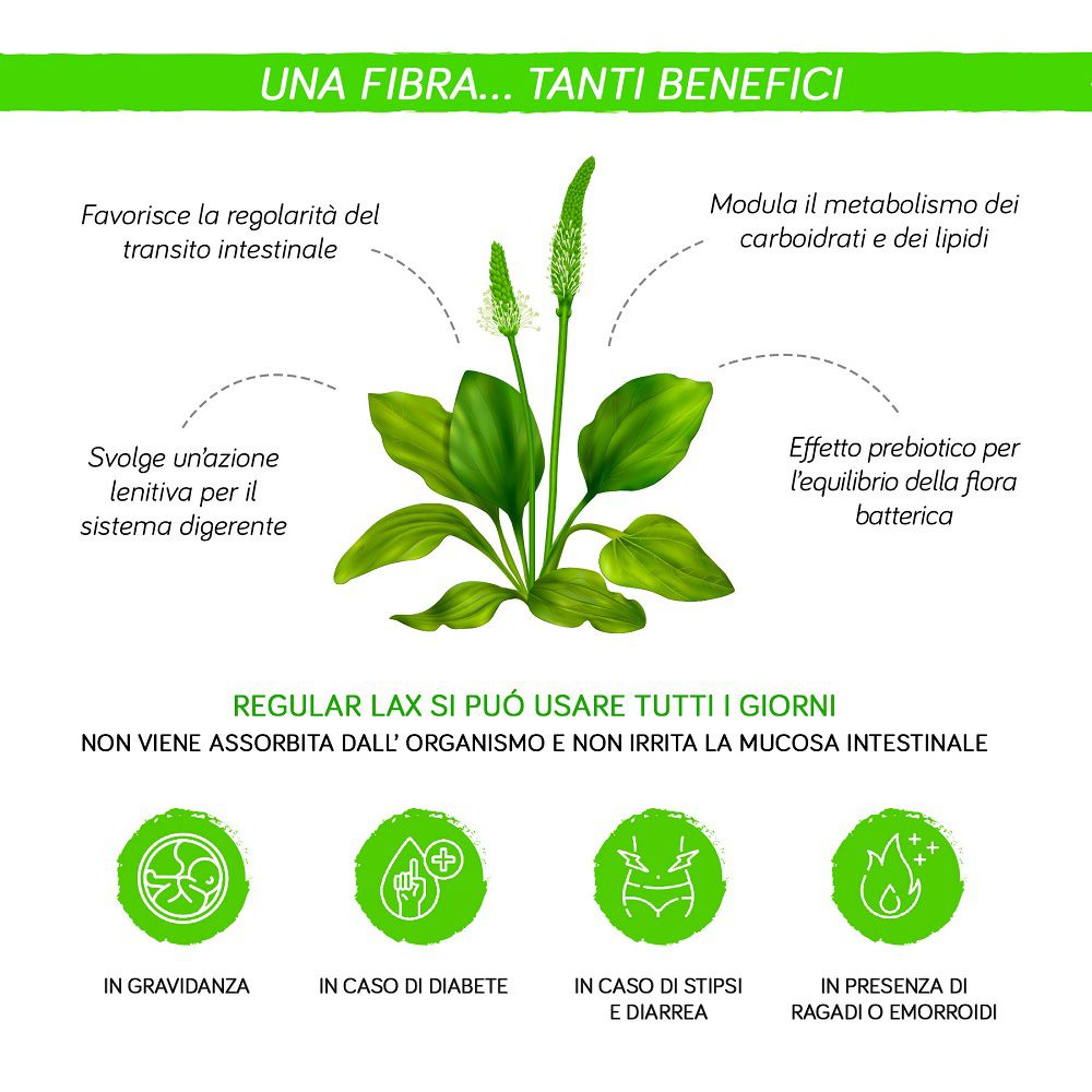 Provida Regular Lax: pianta di psillio e benefici per il sistema digestivo. Senza zuccheri, glutine, lattosio.