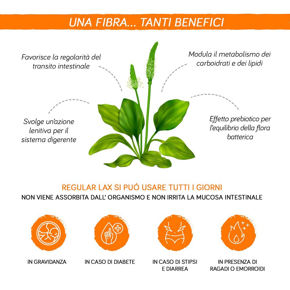 Provida Regular-Lax: Pianta di psillio e i suoi benefici digestivi.