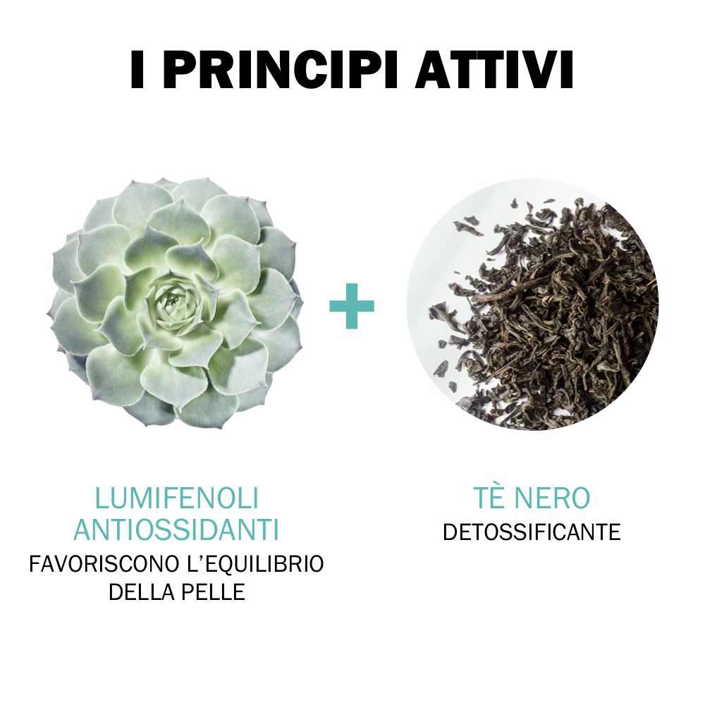 Illustrazione degli ingredienti: Lumifenoli antiossidanti e tè nero fermentato. Testo in italiano.