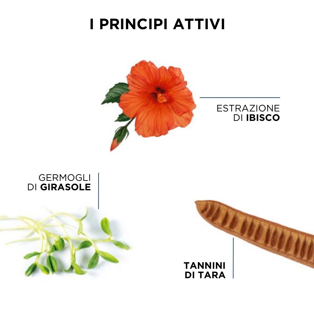 Illustrazione degli ingredienti: fiore di ibisco, germogli di girasole, tannini di tara.