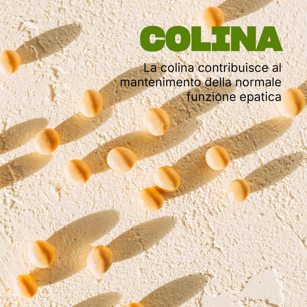 Compresse su sfondo chiaro. Testo: La colina contribuisce al mantenimento della normale funzione epatica.