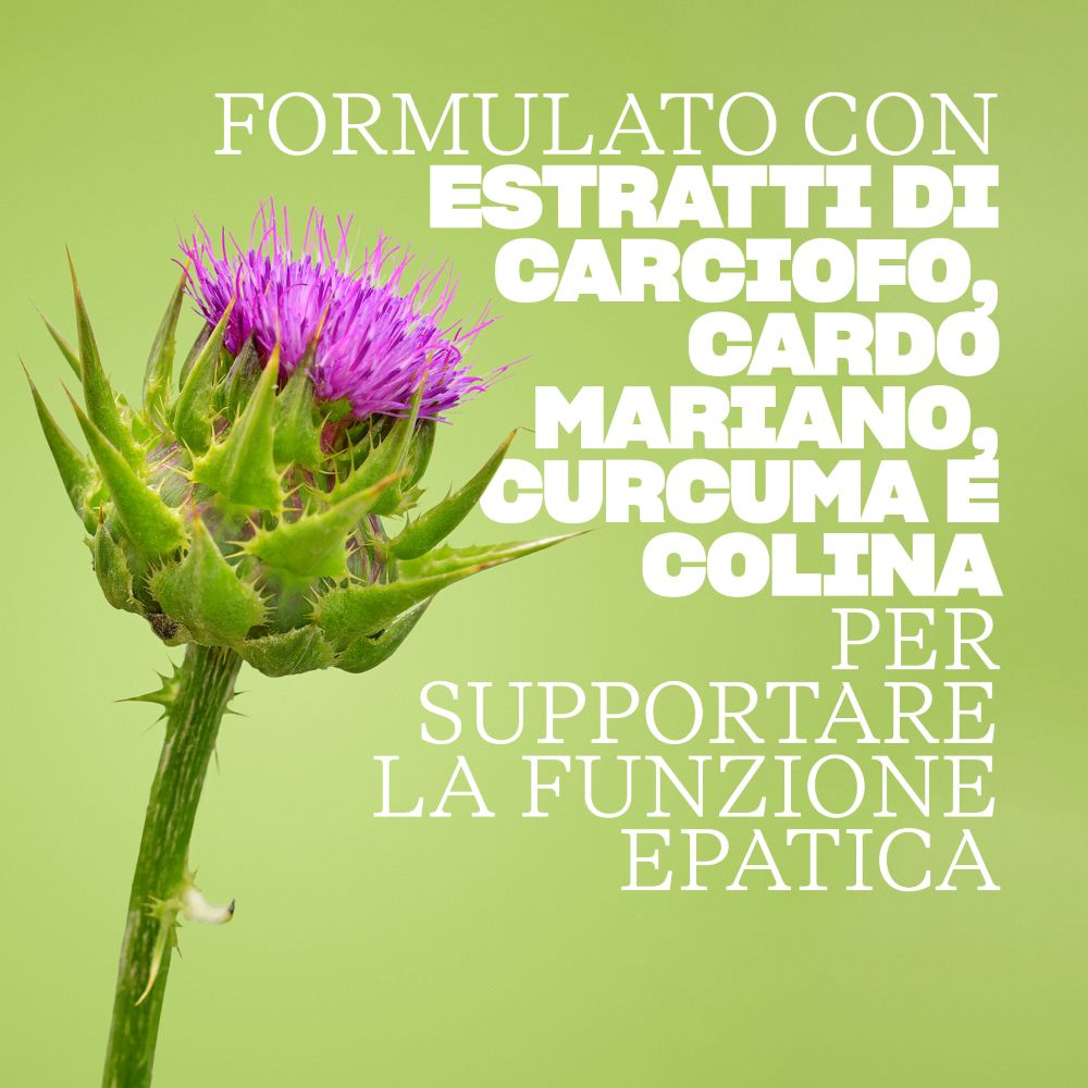 Testo su sfondo verde: Contiene estratti di carciofo, cardo mariano, curcuma e colina per supportare la funzione epatica.