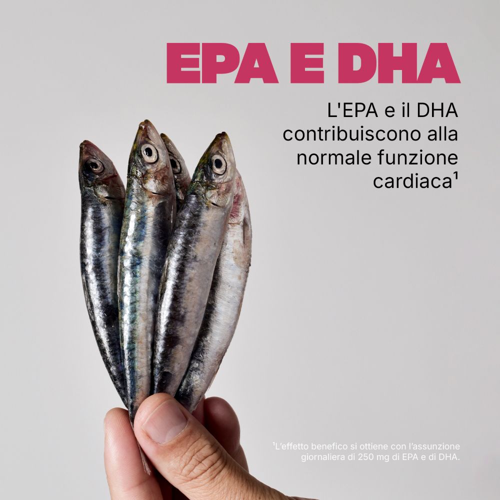 Mano che tiene sardine. Testo: EPA e DHA. Testo sulla normale funzione cardiaca.