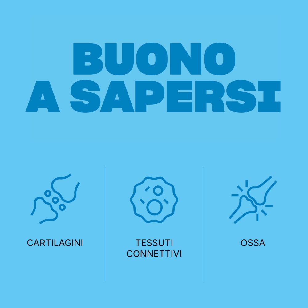 Sfondo blu con testo: BUONO A SAPERSI. Grafici di cartilagine, tessuto connettivo e ossa.