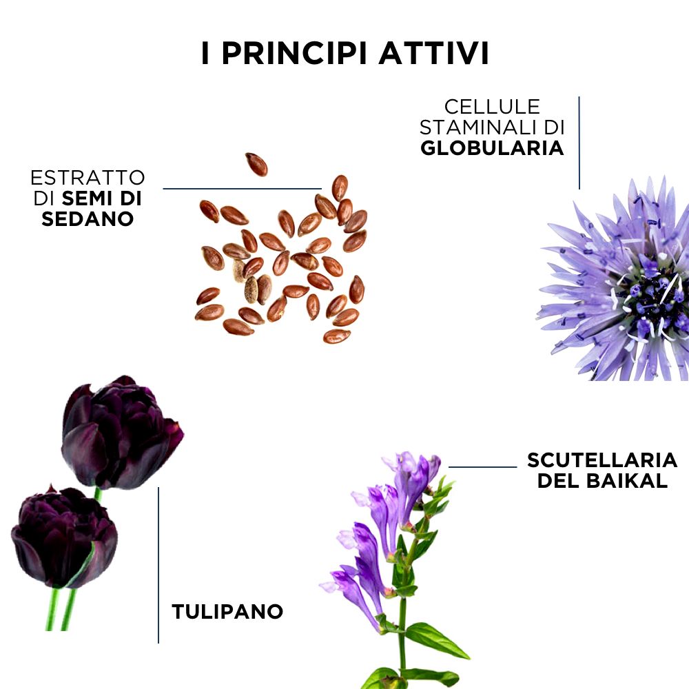 PHYTO Phytonovathrix Fiale Trattamento Anti-Caduta Globale Uomo e Donna