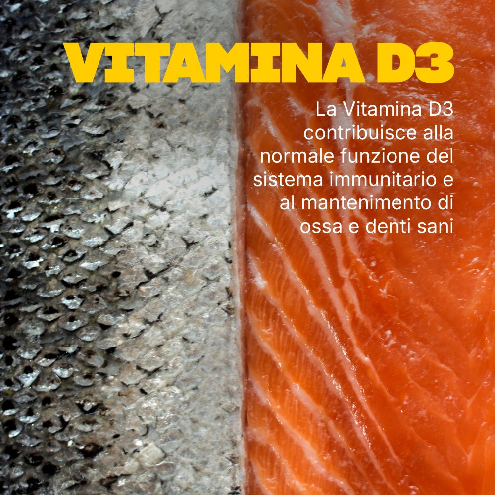 Filetto di salmone. Testo: La vitamina D3 contribuisce alla normale funzione immunitaria e alle ossa sane.