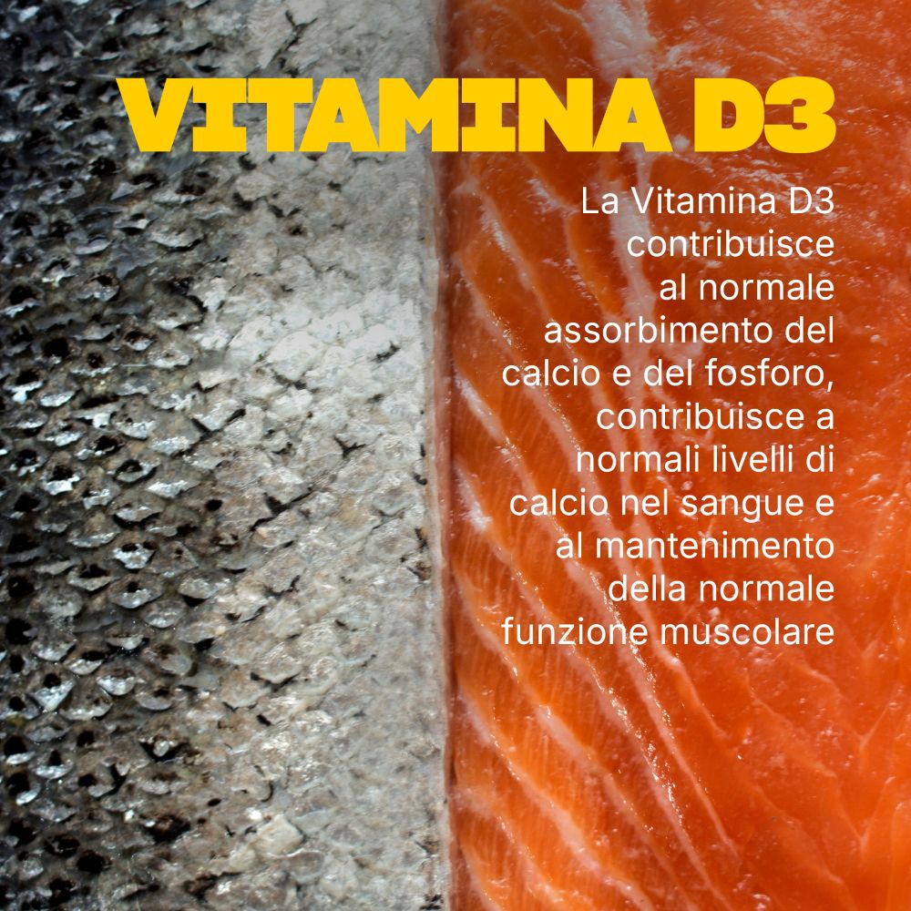 Filetto di salmone. Testo: La vitamina D3 contribuisce all'assorbimento del calcio e alla funzione muscolare.