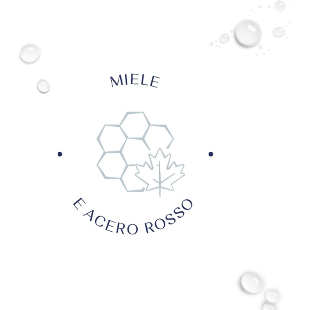 Simbolo con favo e foglia d'acero. Testo: Miele e Acero Rosso.