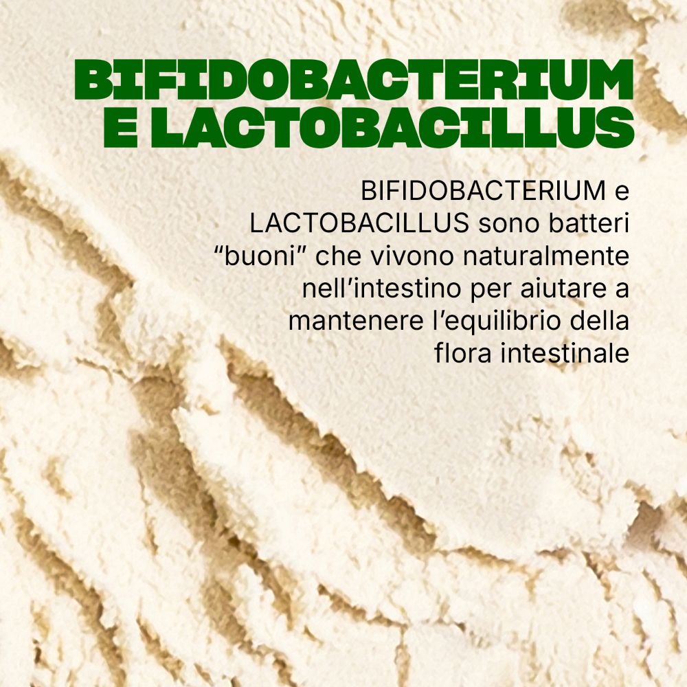 Primo piano di polvere. Testo: Bifidobacterium e Lactobacillus sono batteri "buoni" nell'intestino per aiutare a mantenere l'equilibrio.