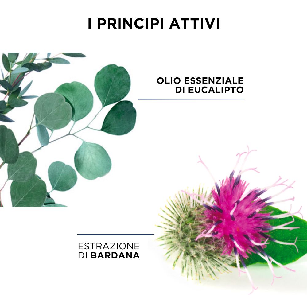 PHYTO PHYTODETOX Shampoo Detox Purificante