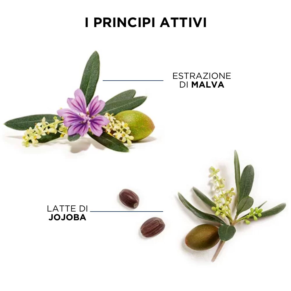 Phyto Phytojoba Shampoo Idratante per Capelli Secchi