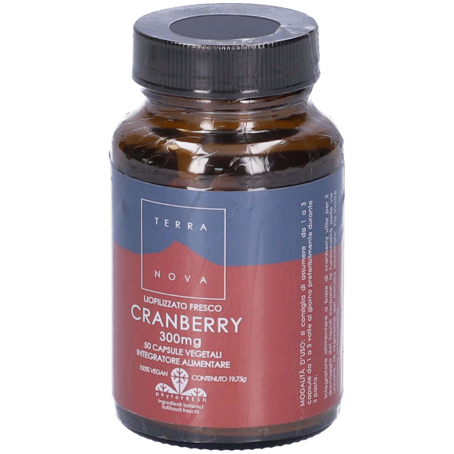 Terranova Cranberry