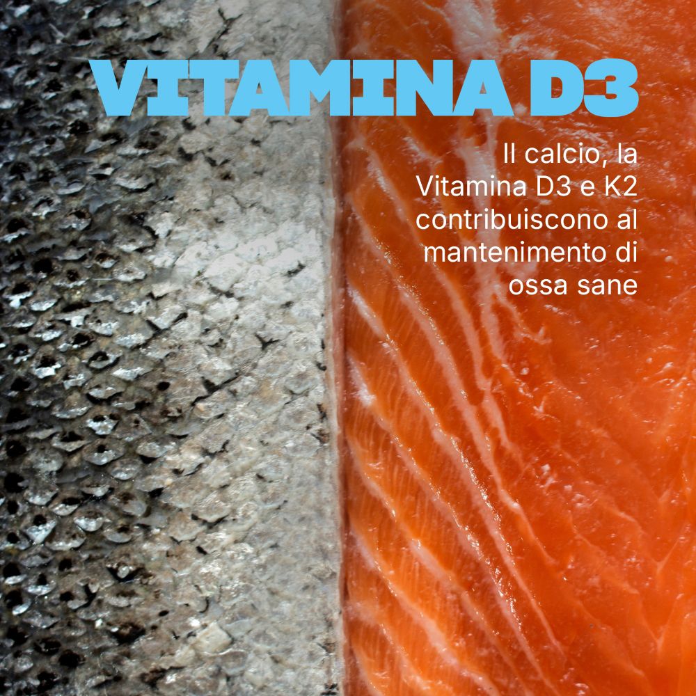 Filetto di salmone e squame che evidenziano la vitamina D3 per ossa sane.