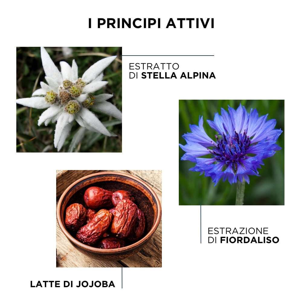 Tre illustrazioni di ingredienti: stella alpina, fiordaliso e latte di jojoba, con didascalie in italiano.