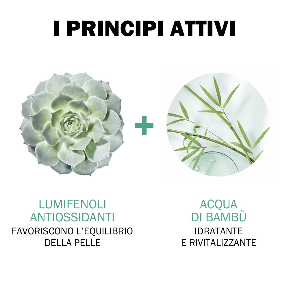 Illustrazioni di ingredienti: Lumifenoli antiossidanti e acqua di bambù. Testo: I PRINCIPI ATTIVI.