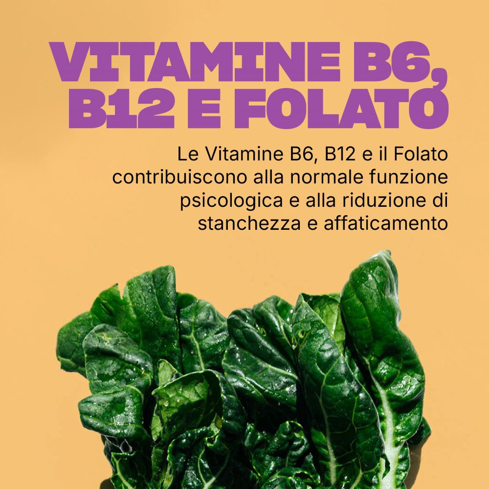 Vitamine B6, B12 e Folato per la funzione psicologica e la riduzione della stanchezza.