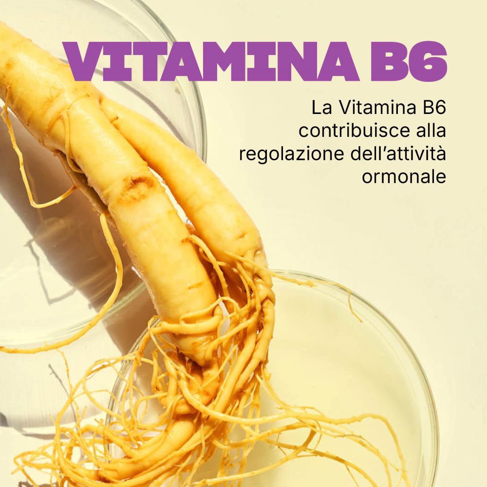 Radice di ginseng e informazioni sulla regolazione dell'attività ormonale con Vitamina B6.
