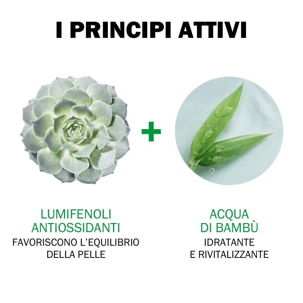 Grafica: Lumifenoli Antioxidant, Acqua di Bambù. Testo: Favoriscono l'equilibrio della pelle, Idratante e rivitalizzante.
