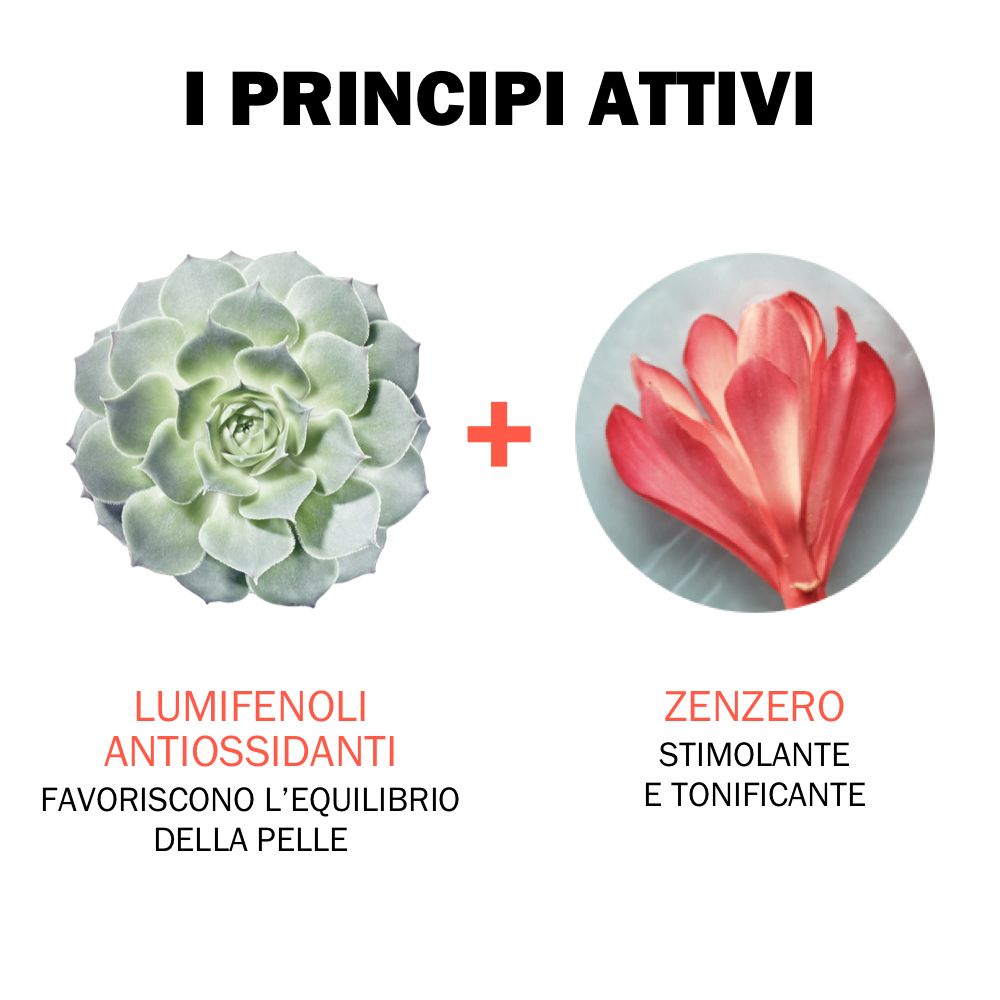 Testo: 'I PRINCIPI ATTIVI'. Immagine di Lumifenoli e Zenzero. Testo: 'ANTIOSSIDANTI' e 'STIMOLANTE E TONIFICANTE'.