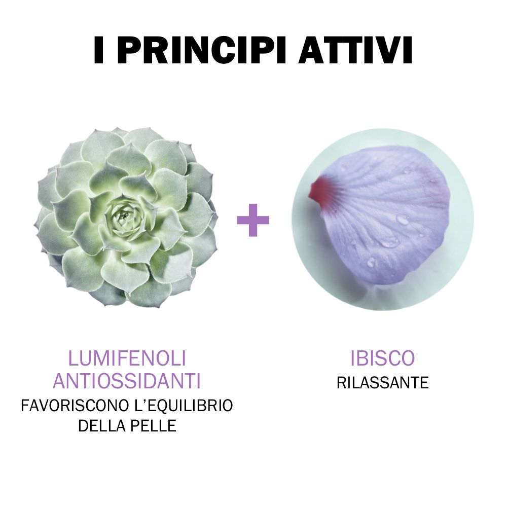 Testo: I PRINCIPI ATTIVI. Illustrazioni di Lumifenoli Antioxydants e Ibiscus Rilassante.