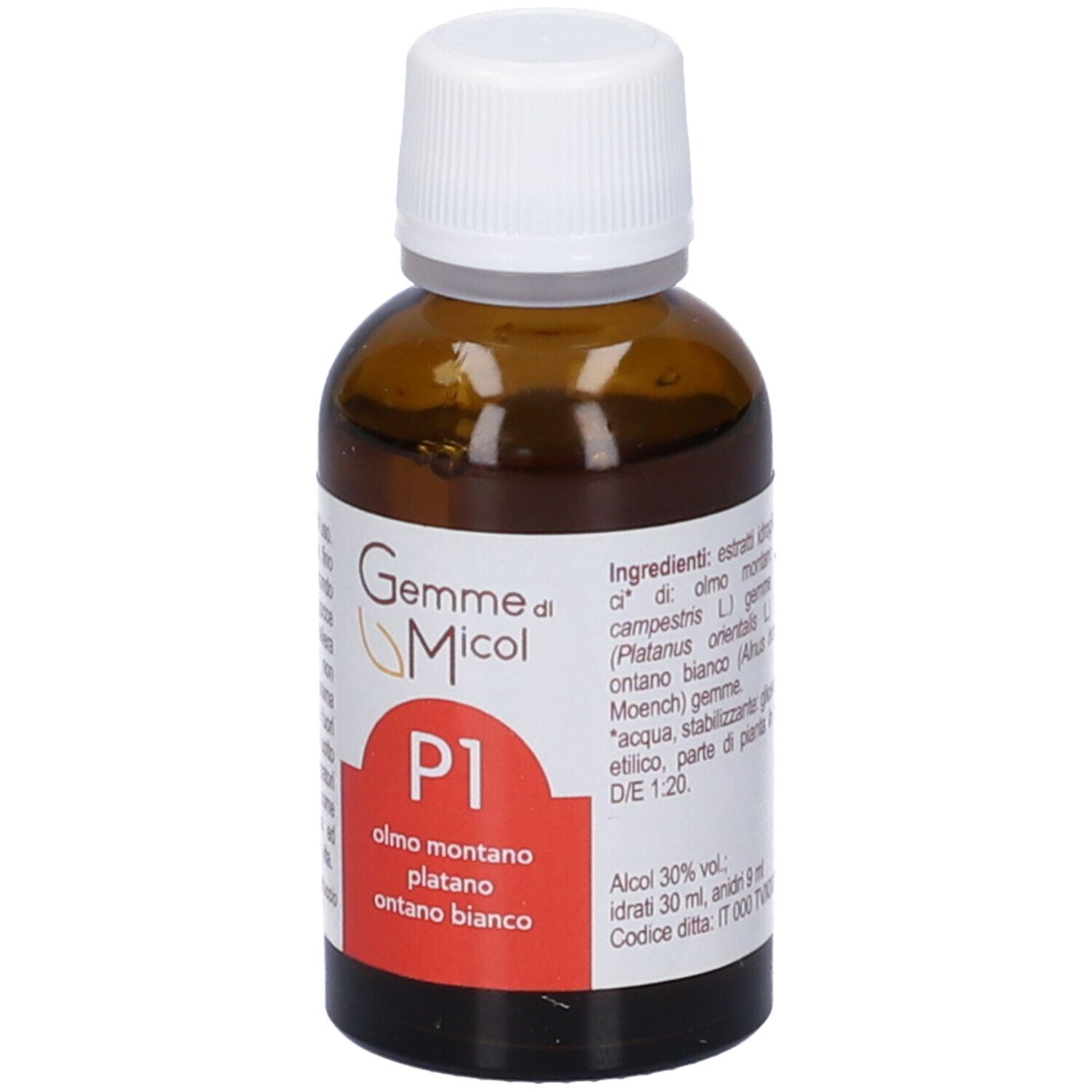 Gemme di Micol P1