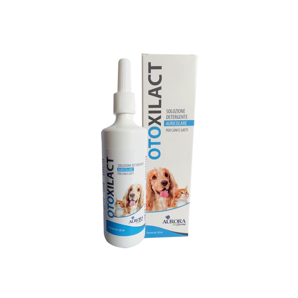 Otoxilact Detergente Auricola