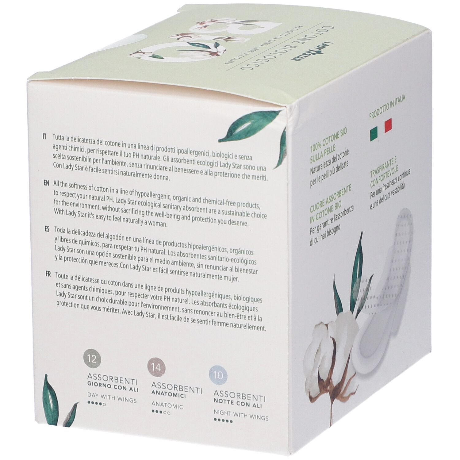 Scatola di assorbenti. Scritto: 12 Assorbenti Giorno con Ali, 14 Anatomici, 10 Notte con Ali. Testo multilingue.