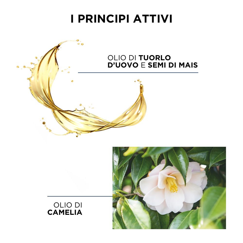 Illustrazione degli ingredienti: getto d'olio, fiore e foglie. Testo: OLIO DI TUORLO D'UOVO E SEMI DI MAIS, OLIO DI CAMELIA.