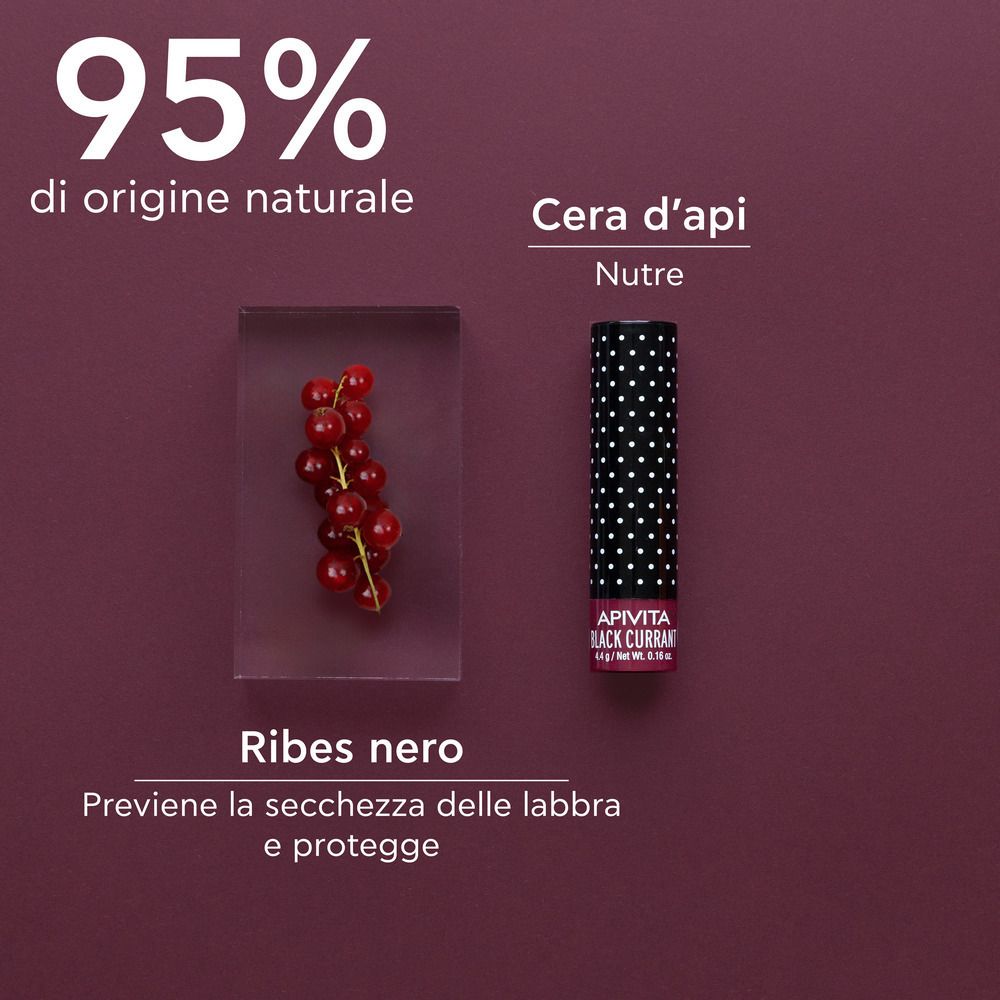 Immagine di ribes nero, cera d'api e stick per labbra. Testo: 95% di origine naturale. Nutre. Previene la secchezza delle labbra.